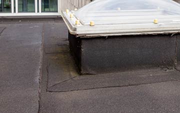 disadvantages of Llanfihangel Y Pennant flat roofs